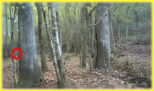 Ответ на головоломку Ответ на головоломку