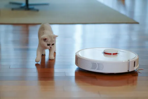 У роботов-пылесосов с ИИ может быть кризис смысла жизни У роботов-пылесосов с ИИ может быть кризис смысла жизни