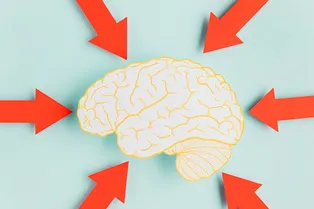 Значение этих слов не знают 90% носителей языка! А вы сможете блеснуть знаниями и пройти этот тест по русскому языку?