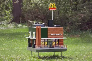 Пчёлам построили крошечный McDonald’s Пчёлам построили крошечный McDonald’s
