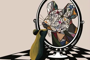 Ученые научились «читать» мысли мышей по движению усов и мимике