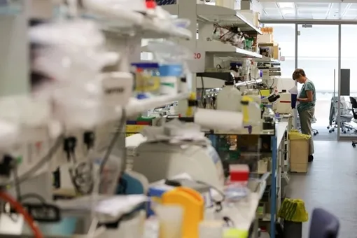 ИИ показывает, как научное открытие влияет на общество и науку