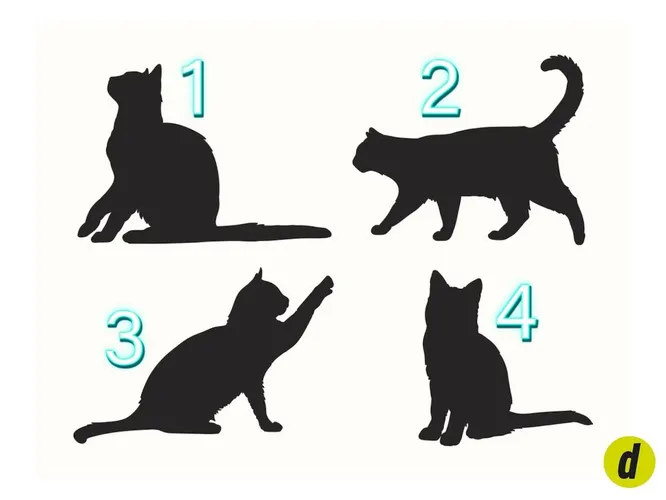 1, 2, 3 или 4? 1, 2, 3 или 4?