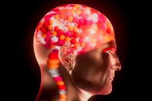 В США раскрыли скрытый язык мозга и научились видеть сигналы нейронов