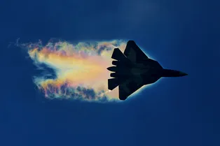 Новый истребитель пятого поколения будет российско-арабским Новый истребитель пятого поколения будет российско-арабским