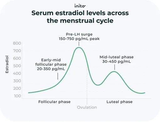 Колебание уровня эстрогена во время менструального цикла. Колебание уровня эстрогена во время менструального цикла.