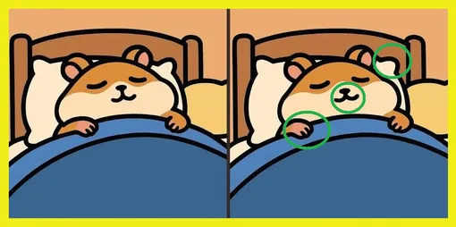 Ответ на головоломку