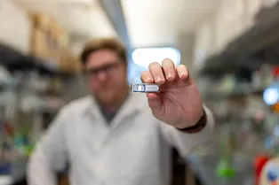 «Живая аптека»: имплант с клетками может заменить ежедневный прием лекарств «Живая аптека»: имплант с клетками может заменить ежедневный прием лекарств