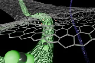 Соединение графена уничтожает бактерии, не повреждая клетки человека Соединение графена уничтожает бактерии, не повреждая клетки человека