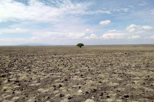 Засуха усиливает устойчивость бактерий к антибиотикам – тревожный вывод ученых Засуха усиливает устойчивость бактерий к антибиотикам – тревожный вывод ученых