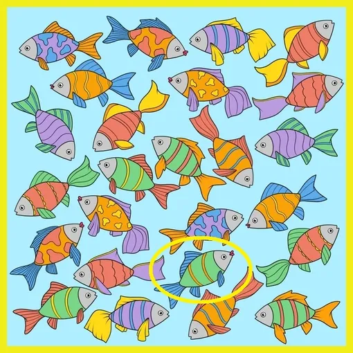 Ответ на головоломку