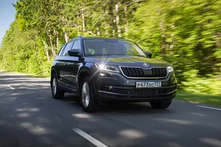 У каждого должен быть медведь: тест-драйв Škoda Kodiaq