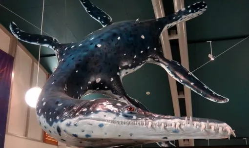 Модель плиозавра Kronosaurus Korner в Ричмонде, Квинсленд, Австралия / Модель плиозавра Kronosaurus Korner в Ричмонде, Квинсленд, Австралия /