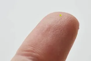 Микросумку размером с зернышко соли продали за 63 тысячи долларов! Как ее использовать?