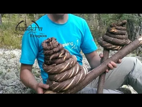 Нажми и смотри Нажми и смотри