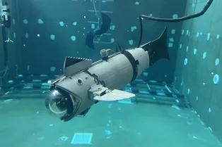 Механические рыбы доказали, что могут пасти настоящих рыб на подводных фермах Механические рыбы доказали, что могут пасти настоящих рыб на подводных фермах