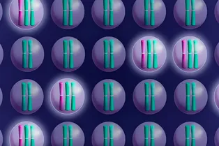 Найден способ победить раковые клетки — из них удаляют хромосомы Найден способ победить раковые клетки — из них удаляют хромосомы