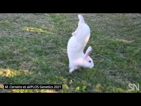 Нажми и смотри