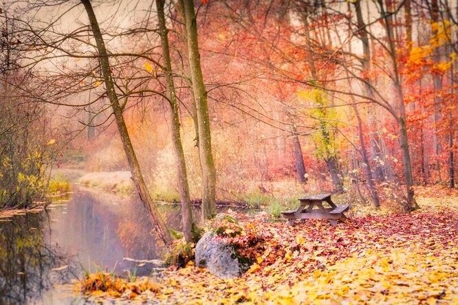 Назван продукт, который просто необходимо есть в холода. Он укрепит здоровье и иммунитет!