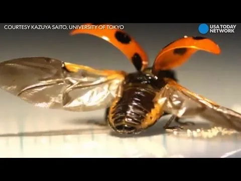 Нажми и смотри Нажми и смотри