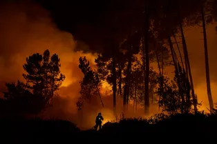Глобальное потепление достигло 1,4 °C после третьего самого жаркого года за всю историю наблюдений
