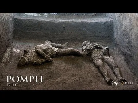 Нажми и смотри