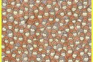 Найдите игрушку обезьянки Панча: визуальный тест для развития внимательности