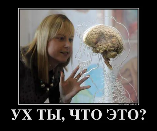 Демотиватор