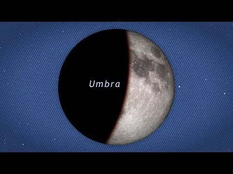 Нажми и смотри