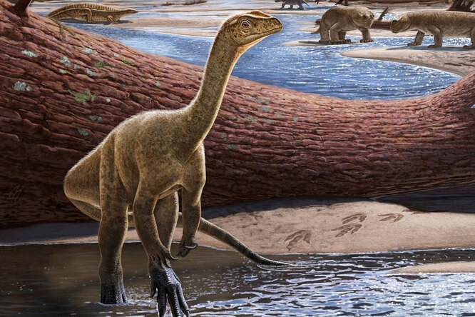 В Зимбабве найден новый вид динозавра: это самый старый образец из когда-либо обнаруженных в Африке