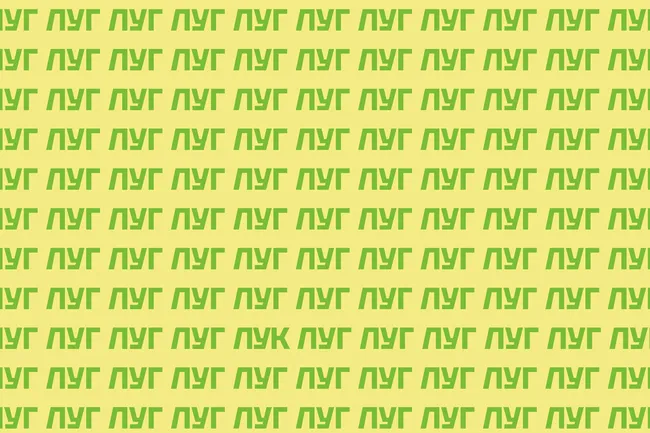 Тренажер для глаз: найдите слово «лук» за 11 секунд