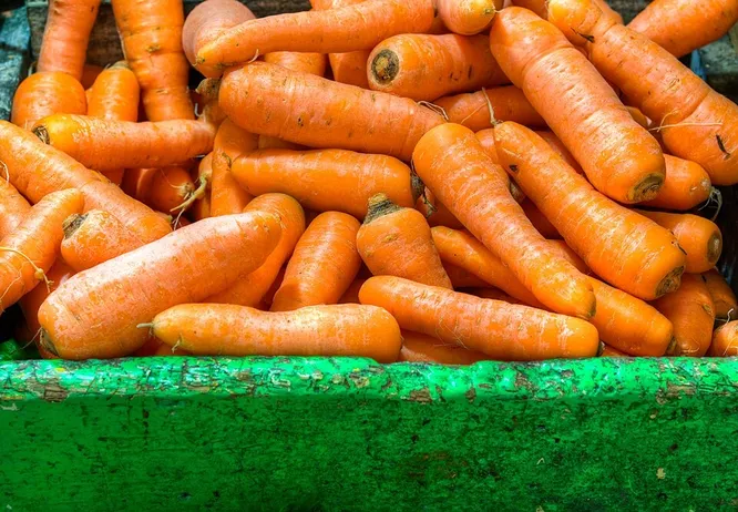 Где растет морковка?