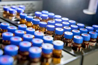 Новый антибиотик заставляет вредных микробов совершать самоубийство: наш шанс в борьбе с супербактериями Новый антибиотик заставляет вредных микробов совершать самоубийство: наш шанс в борьбе с супербактериями