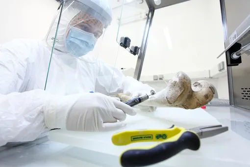 Исследование останков римлян