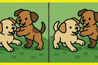 Тест на поиск отличий: играющие щенки. Справитесь за 17 секунд?