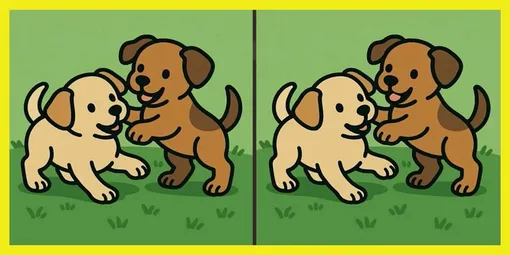 Найдите 3 отличия