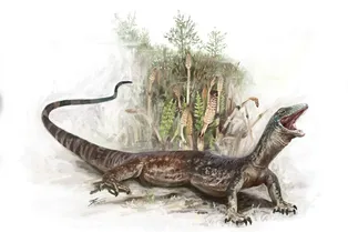 На острове Скай найдено странное существо возрастом 160 миллионов лет – наполовину ящерица, наполовину змея