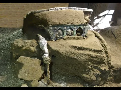 Нажми и смотри
