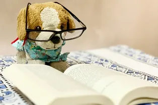 Тест, который проверит, насколько богат ваш словарный запас: 5 вопросов