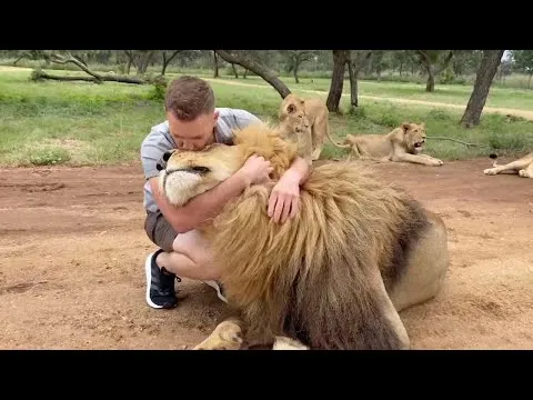 Нажми и смотри Нажми и смотри