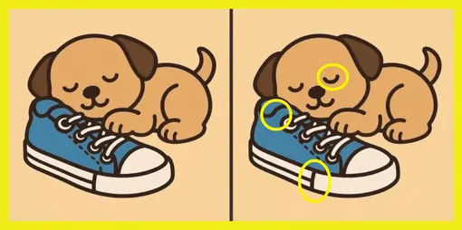 Ответ на головоломку