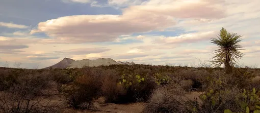 Зона молчания в Мексике