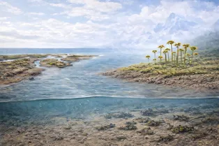 Наземные растения начали преобразовывать Землю 455 миллионов лет назад Наземные растения начали преобразовывать Землю 455 миллионов лет назад