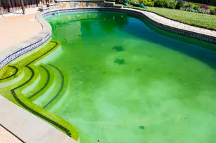 Почему бассейны «зеленеют» летом и как с этим бороться? Почему бассейны «зеленеют» летом и как с этим бороться?