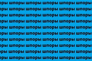 Визуальная загадка на 7 секунд: найдите слово «шторы» Визуальная загадка на 7 секунд: найдите слово «шторы»