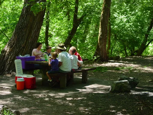 Семья на пикнике