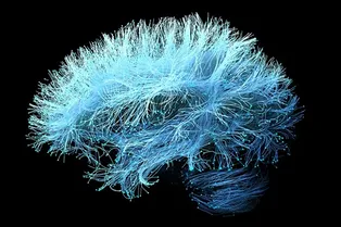 Новый тип интерфейса мозг-компьютер использует ультразвук для чтения мыслей