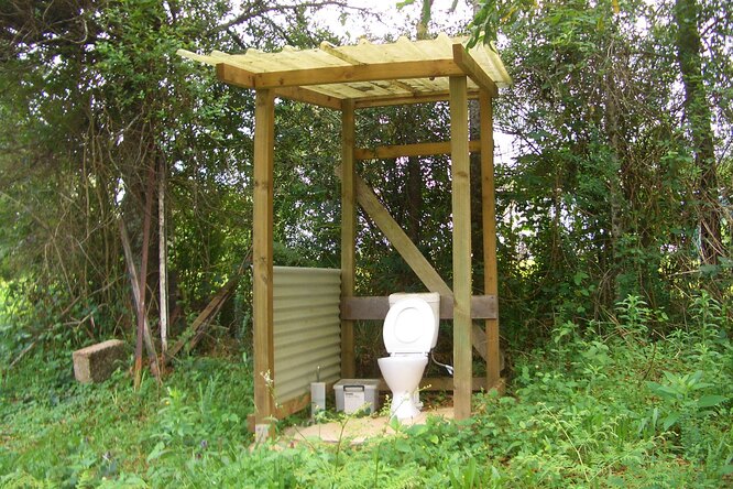 Хоть стой, хоть падай: вся правда про унитаз, где в доме действительно грязно, и чем грозит частое мытье рук