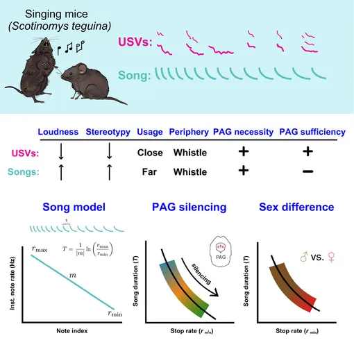 Графическая аннотация к исследованию Графическая аннотация к исследованию