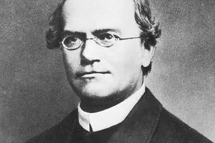 Самые известные генетики в истории